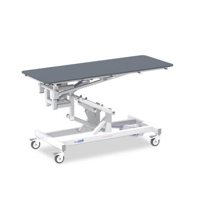 1500mm Vet Table Electric - Electric Tilting 1500mm Vet Table Electric - Electric Tilting